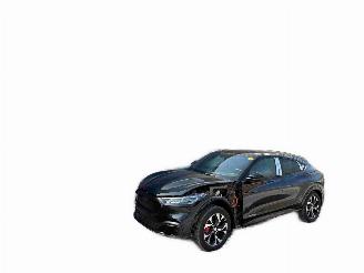 Ford Mustang Mach-e Premium AWD picture 2