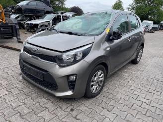 Kia Picanto Picanto (JA), Hatchback, 2017 1.0 12V picture 1