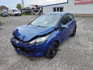 Auto da rottamare Ford Fiesta 1.25 16V Burma-Blauw Onderdelen SNJA Motor 2010/4