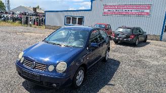 Coche siniestrado Volkswagen Polo 9N 2012/7