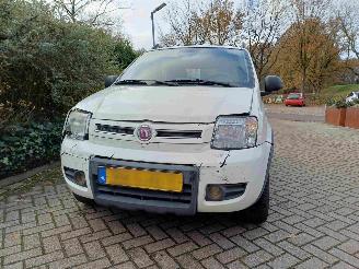 Fiat Panda 1.2 Climbing 4x4 picture 17