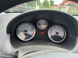 Peugeot 206+  picture 14