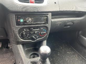 Peugeot 206+  picture 13
