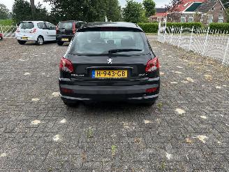 Peugeot 206+  picture 4