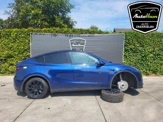 Uttjänta bilar auto Tesla Model Y Model Y (5YJY), SUV, 2019 Long Range 72kWh 2023/1
