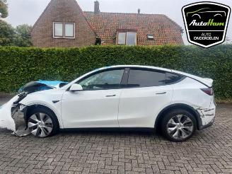 Tesla Model Y Model Y (5YJY), SUV, 2019 Long Range 72kWh picture 1