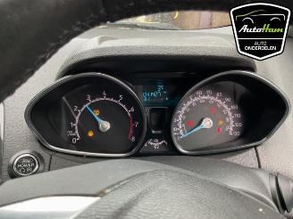 Ford EcoSport  picture 10