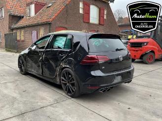 Volkswagen Golf Golf VII (AUA), Hatchback, 2012 / 2021 2.0 R 4Motion 16V picture 10