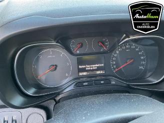 Opel Combo Combo Cargo, Van, 2018 1.5 CDTI 130 picture 14