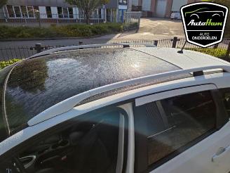 Nissan Qashqai Qashqai (J10), SUV, 2007 / 2014 1.6 16V picture 12