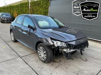 Peugeot 208 208 II (UB/UH/UP), Hatchback 5-drs, 2019 1.2 Vti 12V PureTech 75 picture 2