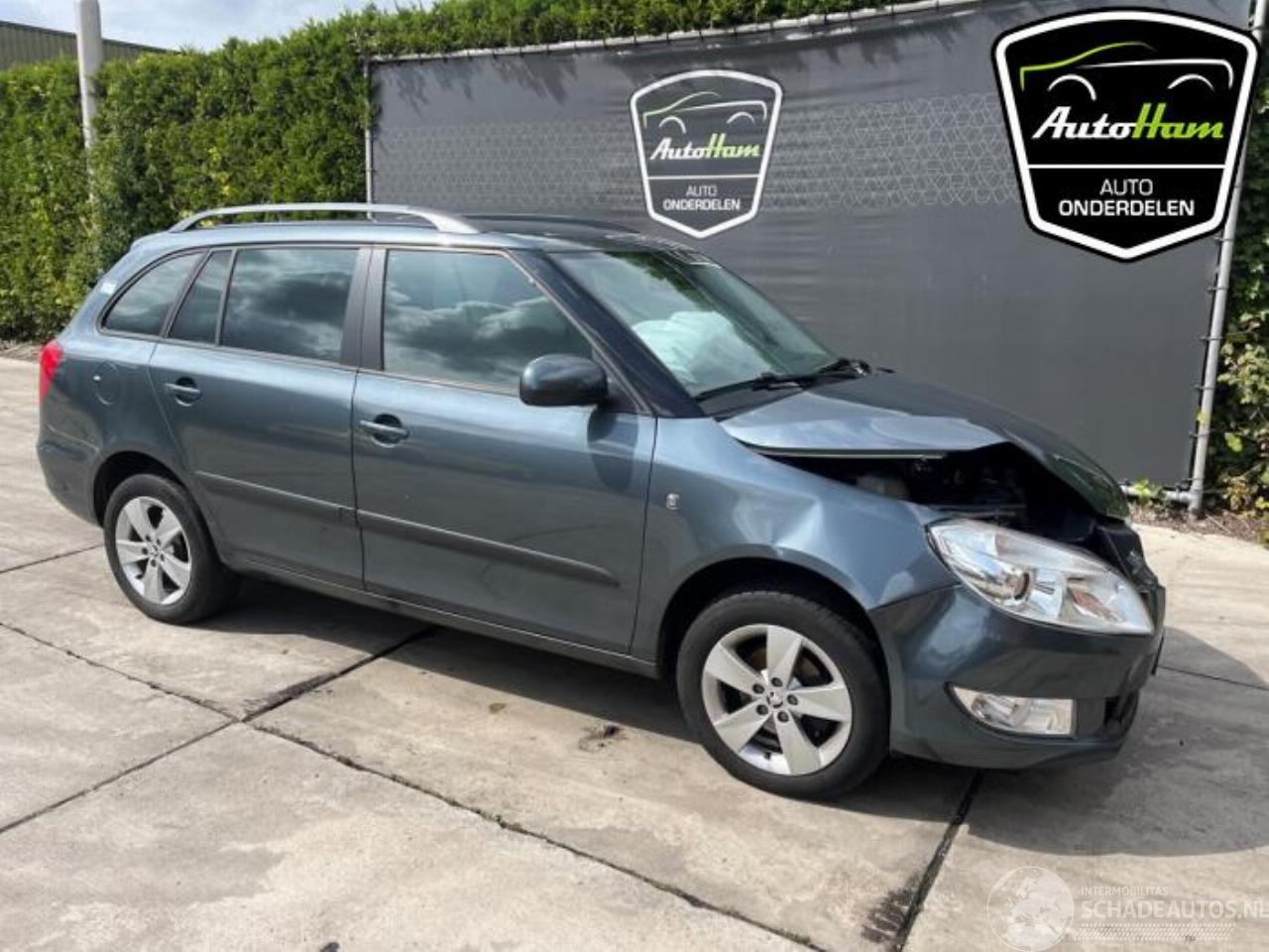 Skoda Fabia Fabia II Combi, Combi 5-drs, 2007 / 2015 1.2 TSI