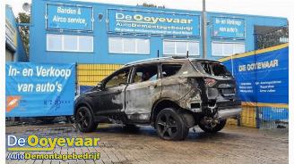 Ford Kuga Kuga II (DM2), SUV, 2012 2.0 TDCi 16V 163 4x4 picture 6