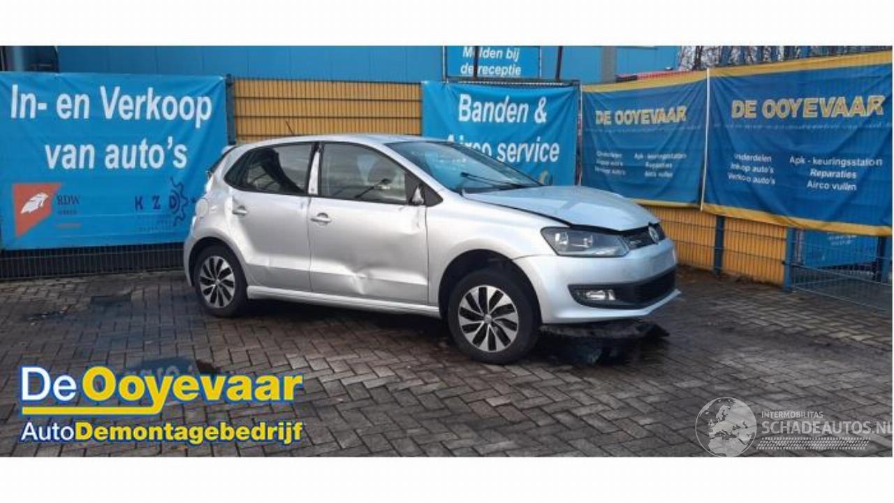 Volkswagen Polo Polo V (6R), Hatchback, 2009 / 2017 1.0 TSI 12V BlueMotion