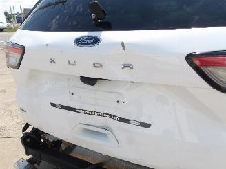 Ford Kuga ST LINE picture 16