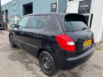Skoda Fabia 1.2 TDI Greenline picture 3