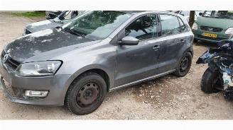 Volkswagen Polo Polo V (6R), Hatchback, 2009 / 2017 1.6 TDI 16V 90 picture 2