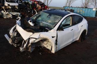 Uttjänta bilar auto Tesla Model Y Model Y (5YJY), SUV, 2019 RWD 2024/3