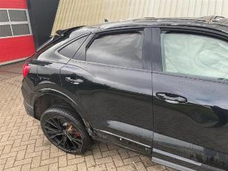 Audi Q3 Q3 Sportback (F3N), SUV, 2019 1.4 45 TFSIe 16V picture 24