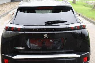 Peugeot 2008 2008 (UD/UK/UR/US/UX), MPV, 2019 e-2008 50 kWh picture 32