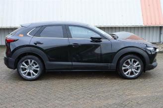 Mazda CX-30 CX-30 (DM), SUV, 2019 2.0 e-SkyActiv-G 122 16V picture 2
