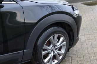 Mazda CX-30 CX-30 (DM), SUV, 2019 2.0 e-SkyActiv-G 122 16V picture 24