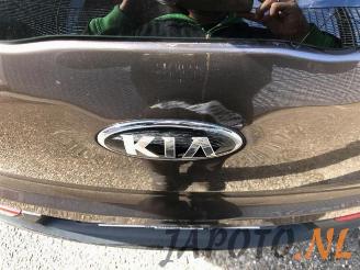 Kia Sportage Sportage (SL), Terreinwagen, 2010 / 2016 1.6 GDI 16V 4x2 picture 10