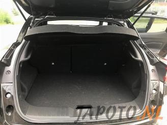 Nissan Juke Juke (F16), SUV, 2019 1.0 DIG-T 12V picture 13