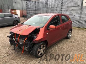 Uttjänta bilar auto Kia Picanto Picanto (JA), Hatchback, 2017 1.0 12V 2019/8