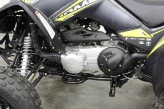 Kymco  Maxxer 300 Quad picture 11