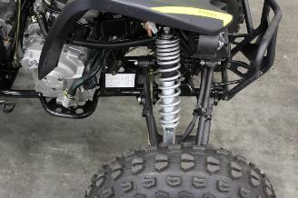 Kymco  Maxxer 300 Quad picture 4