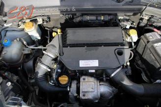 Opel Combo Combo, Van, 2012 / 2018 1.3 CDTI 16V ecoFlex picture 13