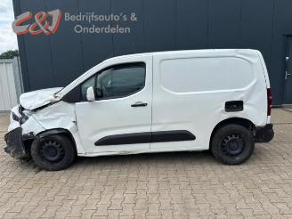 Opel Combo Combo Cargo, Van, 2018 1.5 CDTI 100 picture 2