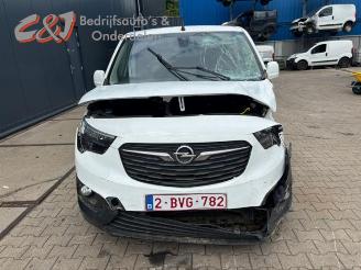 Opel Combo Combo Cargo, Van, 2018 1.5 CDTI 100 picture 14