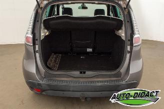 Renault Scenic 1.2 TCE Bose Navi picture 29