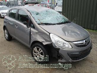 Opel Corsa Corsa D Hatchback 1.4 16V Twinport (A14XER(Euro 5)) [74kW]  (12-2009/0=
8-2014) picture 2