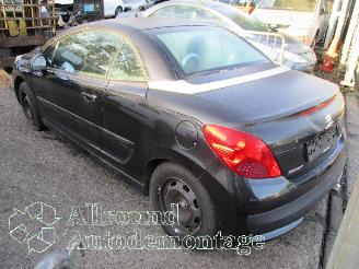 Peugeot 207 207 CC (WB) Cabrio 1.6 16V (EP6(5FW)) [88kW]  (02-2007/10-2013) picture 4