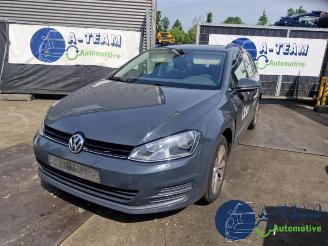 Volkswagen Golf Golf VII Variant (AUVV), Combi, 2013 / 2021 1.6 TDI BlueMotion 16V picture 1