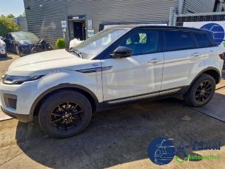 Land Rover Range Rover Range Rover Evoque (LVJ/LVS), SUV, 2011 / 2019 2.0 eD 150 16V 5-drs. picture 10