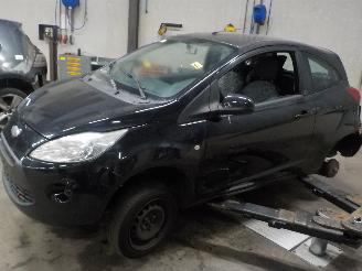 Ford Ka Ka II Hatchback 1.2 (169.A.4000(Euro 4; Euro 5)) [51kW]  (10-2008/05-2=
016) picture 1