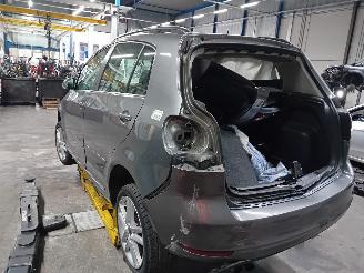 Volkswagen Golf Golf Plus (5M1/1KP) MPV 1.4 TSI 122 16V (CAXA(Euro 5)) [90kW]  (06-200=
7/12-2013) picture 4