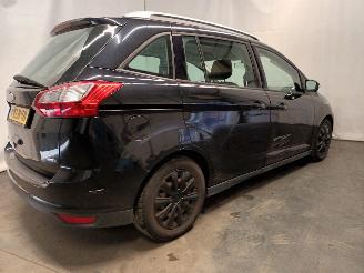 Ford Grand C-Max Grand C-Max (DXA) MPV 1.0 Ti-VCT EcoBoost 12V 125 (M1DA(Euro 5)) [92kW=
]  (10-2012/06-2019) picture 5