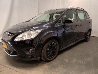 Ford Grand C-Max Grand C-Max (DXA) MPV 1.0 Ti-VCT EcoBoost 12V 125 (M1DA(Euro 5)) [92kW=
]  (10-2012/06-2019) picture 2