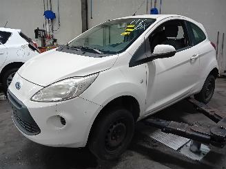 Uttjänta bilar auto Ford Ka Ka II Hatchback 1.2 (169.A.4000(Euro 4; Euro 5)) [51kW]  (10-2008/05-2=
016) 2011/0