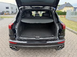 Porsche Cayenne 3.0 S E-Hybrid picture 18
