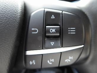 Ford Focus Active picture 12