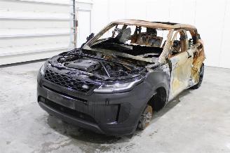 Land Rover Range Rover Evoque  picture 1
