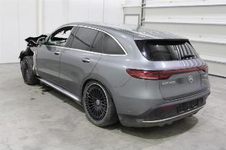 Mercedes EQC  picture 5