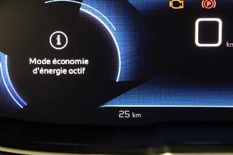 Peugeot 3008  picture 13