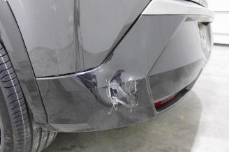 Peugeot 3008  picture 19